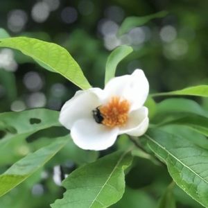 Meet your Posher, Loriann